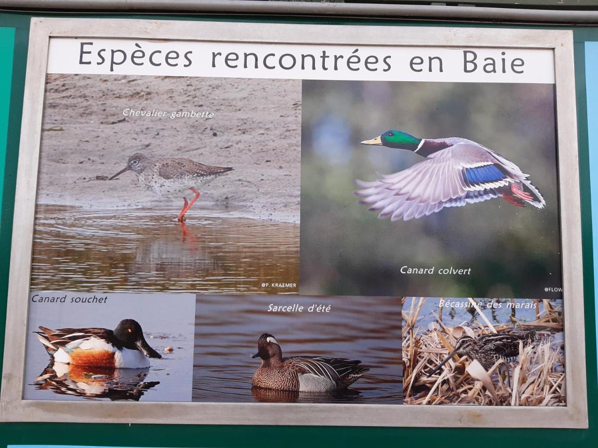 Les Obiones, Vue Laterale Mer, Fort Mahon Plage, Magnifique Studio Cabine 4P, Avec Balcon , Parking Prive Gratuit, Wifi, Classe 2 Etoiles, Exposition Plein Sud En Baie De Somme 外观 照片