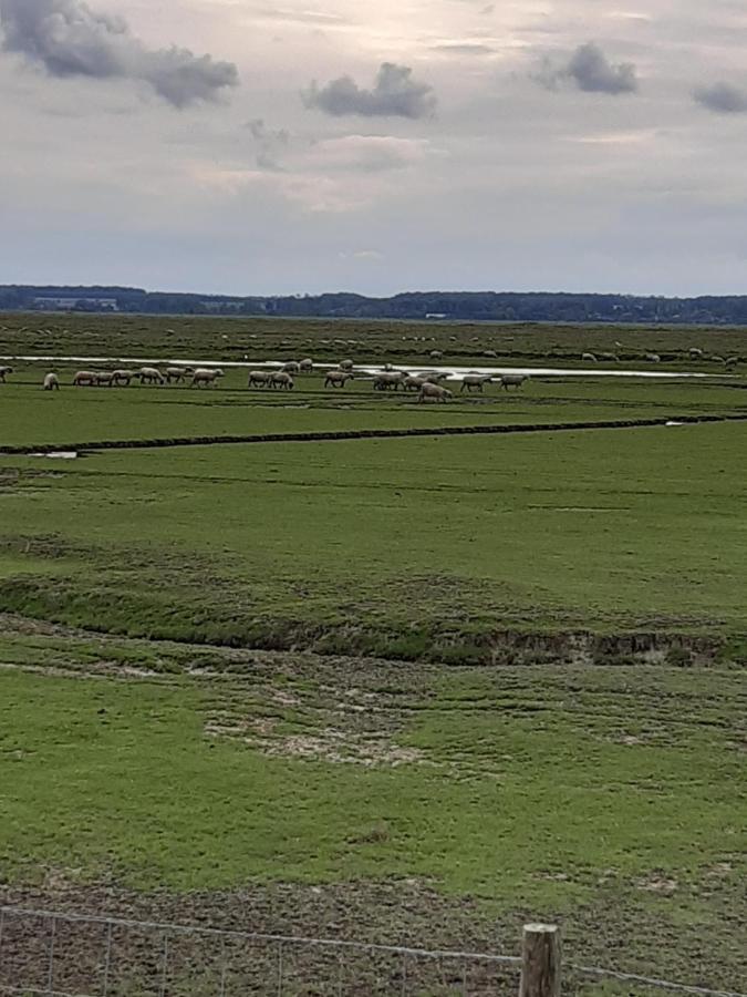 Les Obiones, Vue Laterale Mer, Fort Mahon Plage, Magnifique Studio Cabine 4P, Avec Balcon , Parking Prive Gratuit, Wifi, Classe 2 Etoiles, Exposition Plein Sud En Baie De Somme 外观 照片