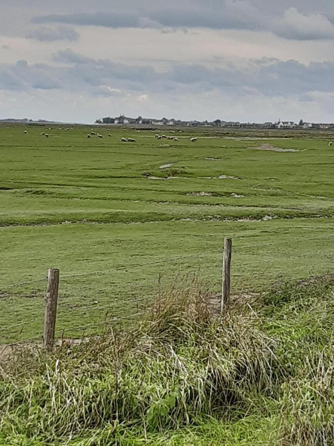Les Obiones, Vue Laterale Mer, Fort Mahon Plage, Magnifique Studio Cabine 4P, Avec Balcon , Parking Prive Gratuit, Wifi, Classe 2 Etoiles, Exposition Plein Sud En Baie De Somme 外观 照片