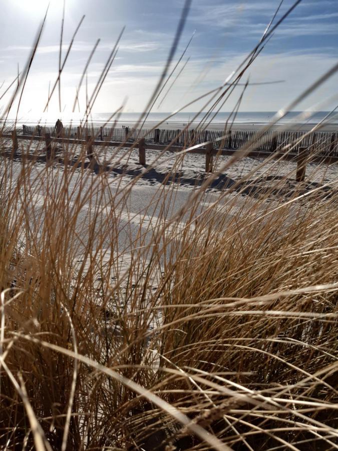 Les Obiones, Vue Laterale Mer, Fort Mahon Plage, Magnifique Studio Cabine 4P, Avec Balcon , Parking Prive Gratuit, Wifi, Classe 2 Etoiles, Exposition Plein Sud En Baie De Somme 外观 照片