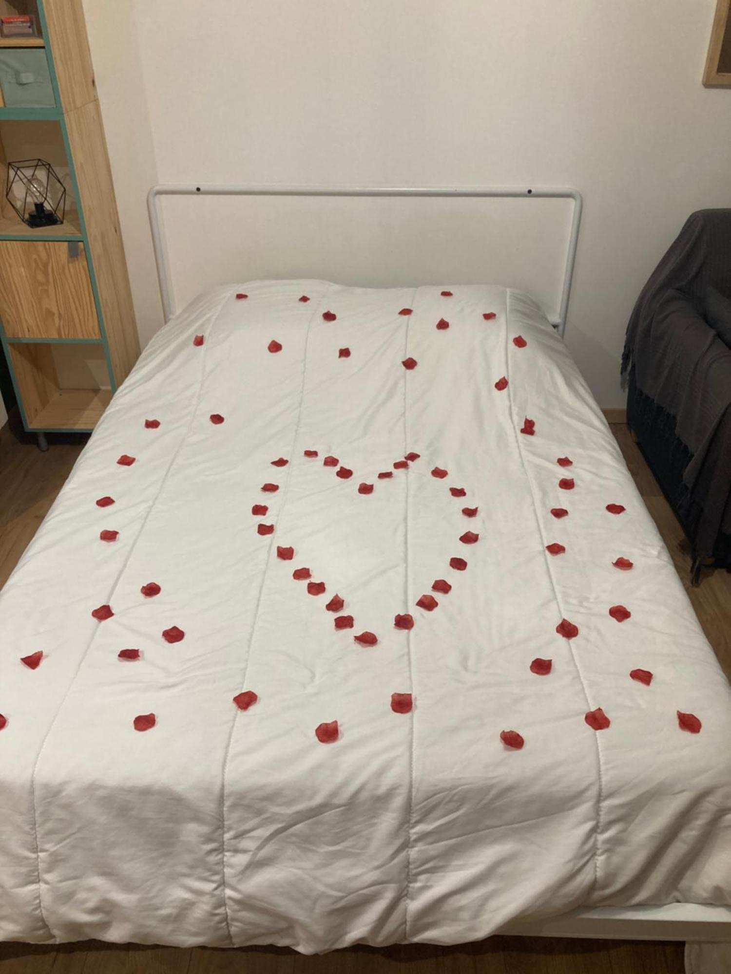 Les Obiones, Vue Laterale Mer, Fort Mahon Plage, Magnifique Studio Cabine 4P, Avec Balcon , Parking Prive Gratuit, Wifi, Classe 2 Etoiles, Exposition Plein Sud En Baie De Somme 外观 照片